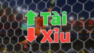 Không nên đặt quá nhiều cửa khi chơi kèo tài xỉu bóng đá